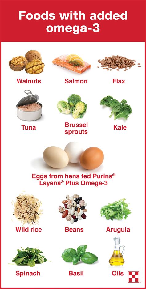 omega 3 rich foods pdf